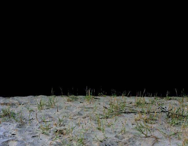 Green/Grass, Found still life [8/12]